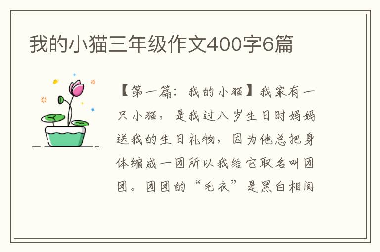 我的小猫三年级作文400字6篇