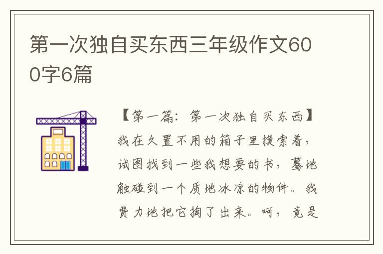 第一次独自买东西三年级作文600字6篇