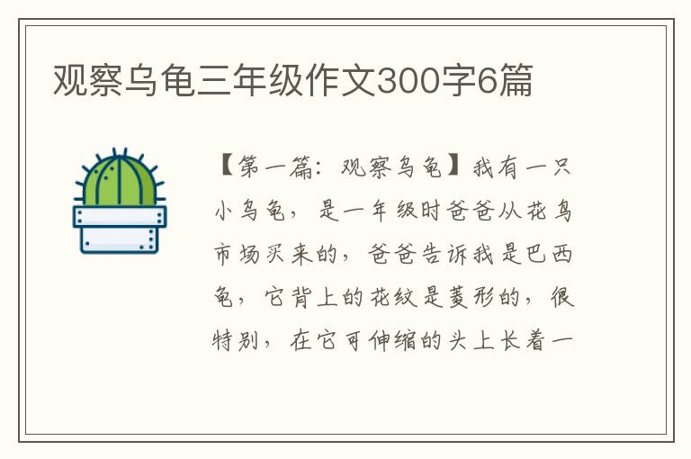 观察乌龟三年级作文300字6篇