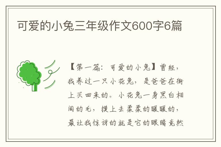 可爱的小兔三年级作文600字6篇