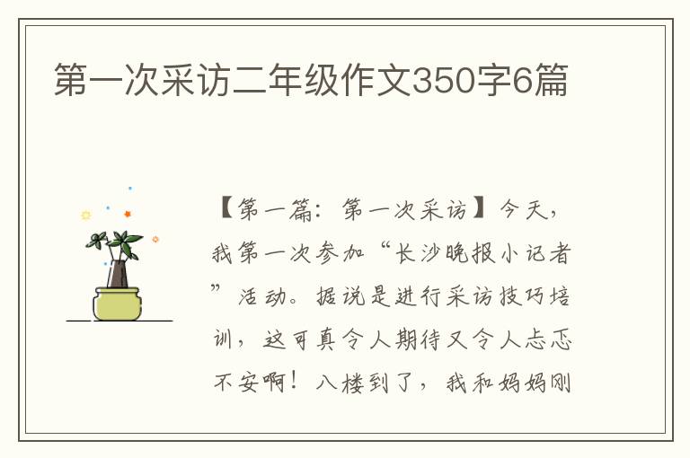 第一次采访二年级作文350字6篇