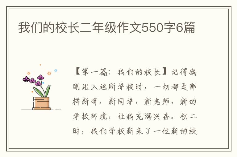 我们的校长二年级作文550字6篇