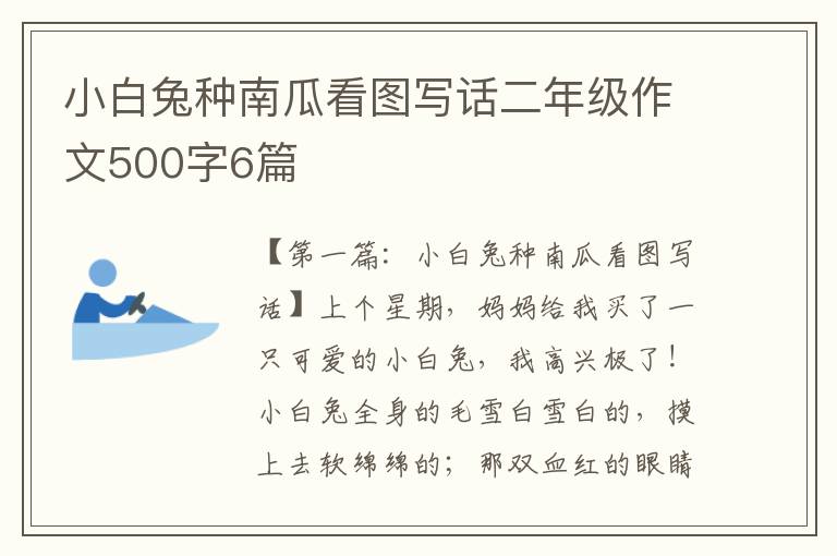 小白兔种南瓜看图写话二年级作文500字6篇