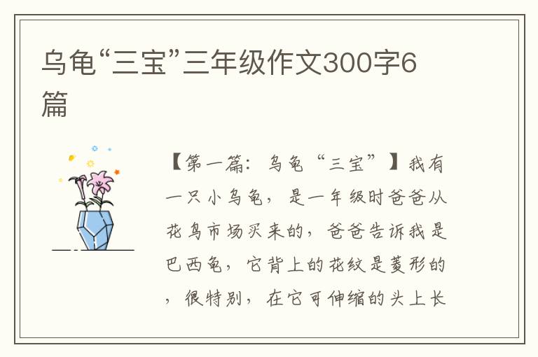 乌龟“三宝”三年级作文300字6篇