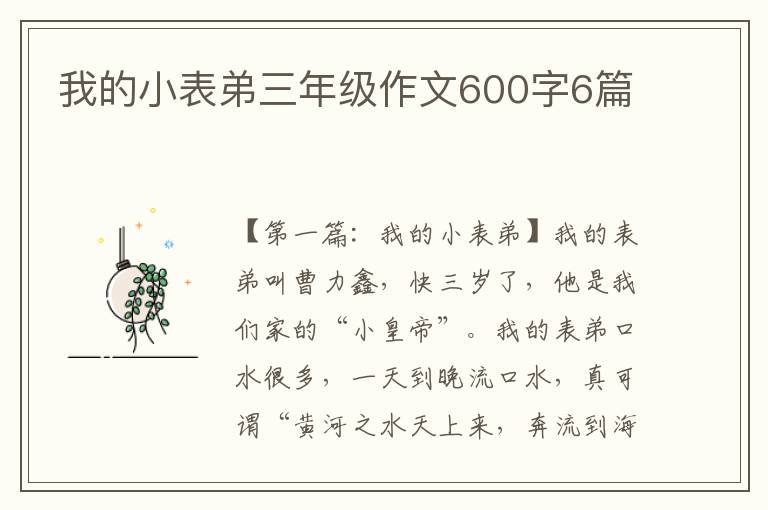 我的小表弟三年级作文600字6篇