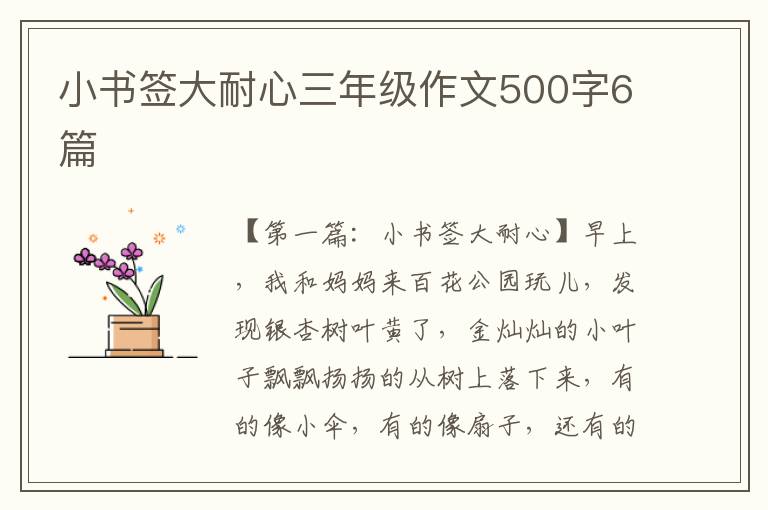 小书签大耐心三年级作文500字6篇