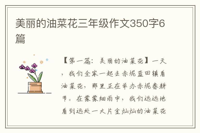 美丽的油菜花三年级作文350字6篇