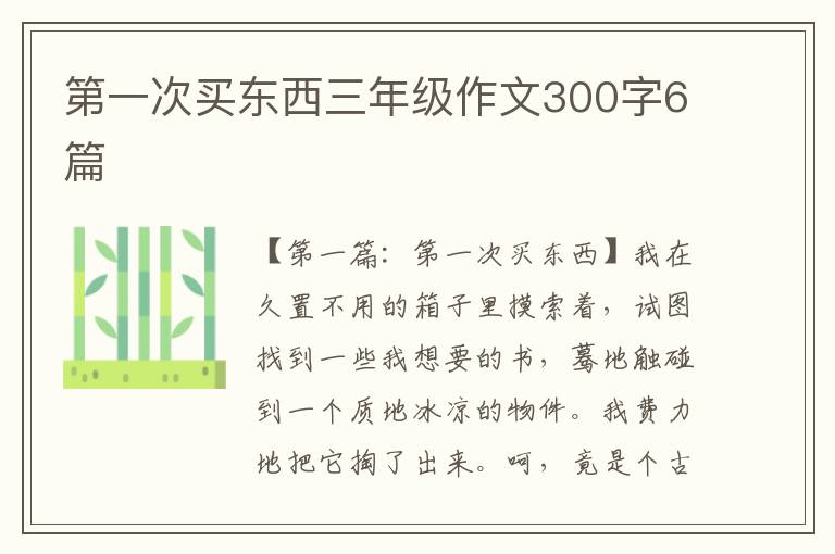 第一次买东西三年级作文300字6篇