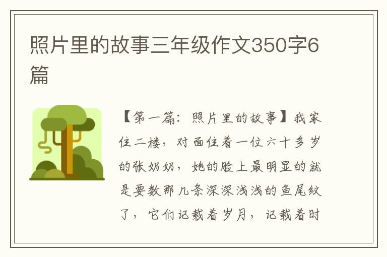 照片里的故事三年级作文350字6篇