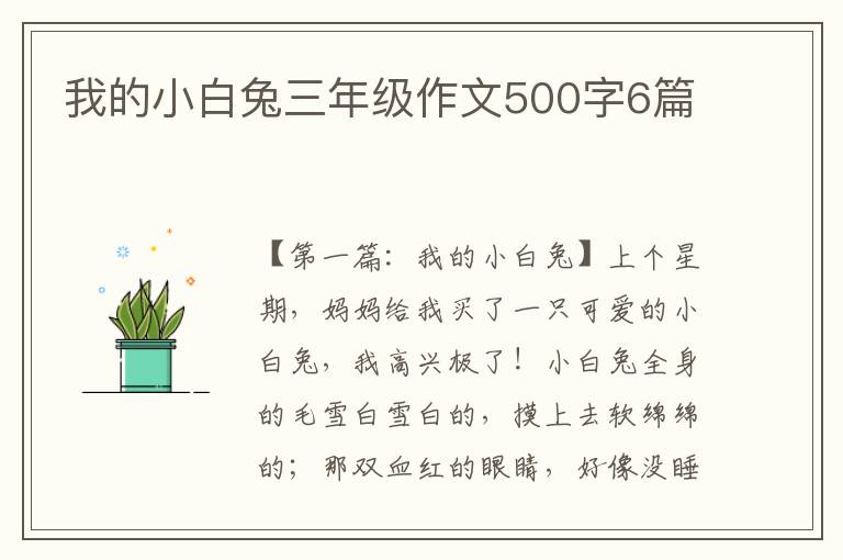 我的小白兔三年级作文500字6篇