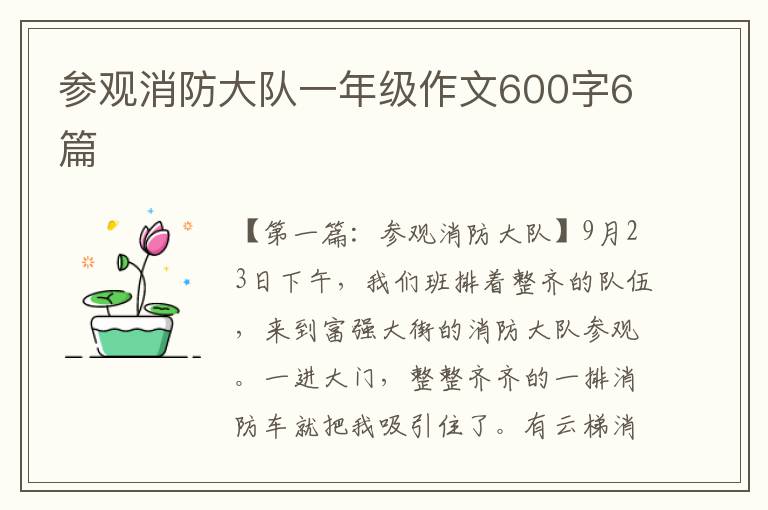 参观消防大队一年级作文600字6篇