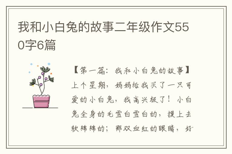 我和小白兔的故事二年级作文550字6篇