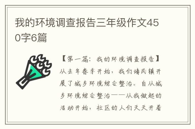 我的环境调查报告三年级作文450字6篇