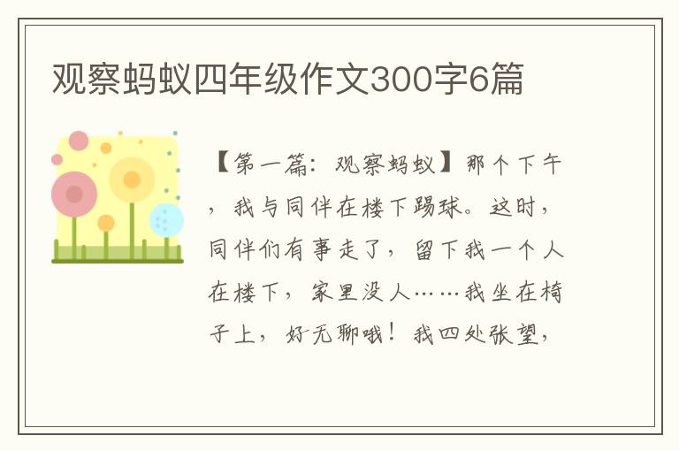 观察蚂蚁四年级作文300字6篇