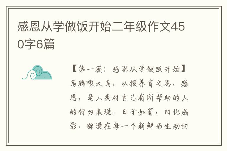 感恩从学做饭开始二年级作文450字6篇