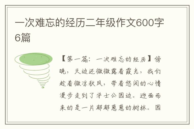 一次难忘的经历二年级作文600字6篇