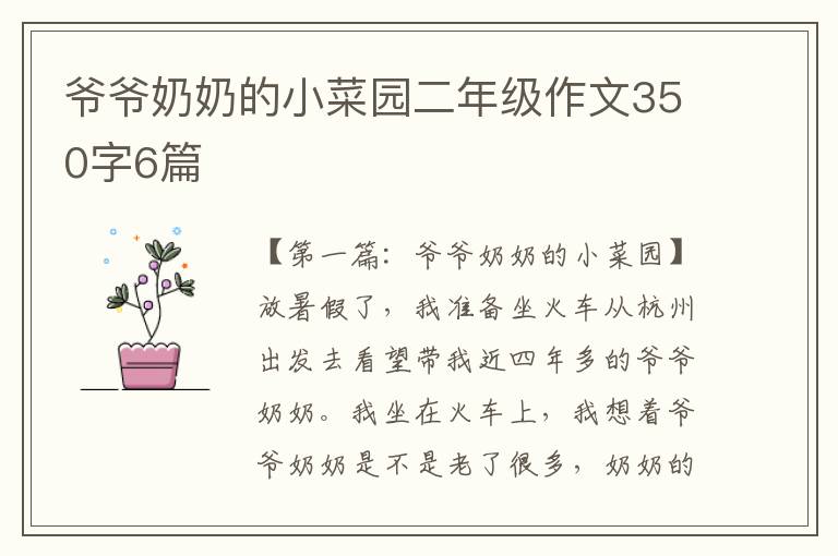 爷爷奶奶的小菜园二年级作文350字6篇