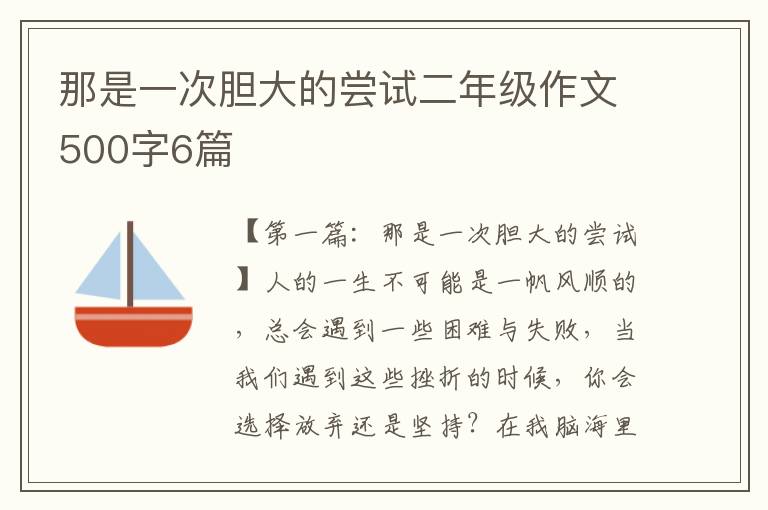 那是一次胆大的尝试二年级作文500字6篇