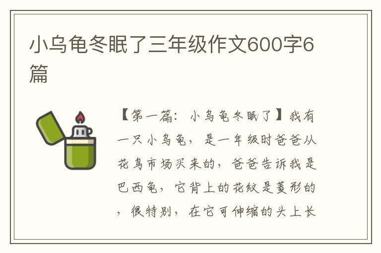 小乌龟冬眠了三年级作文600字6篇