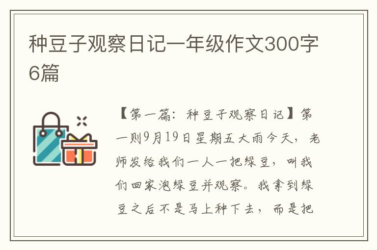 种豆子观察日记一年级作文300字6篇