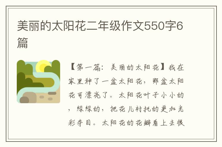 美丽的太阳花二年级作文550字6篇