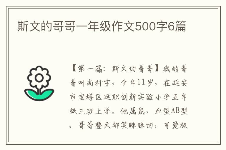 斯文的哥哥一年级作文500字6篇