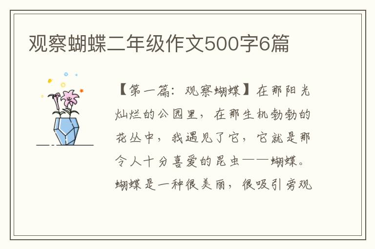 观察蝴蝶二年级作文500字6篇