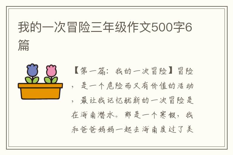 我的一次冒险三年级作文500字6篇