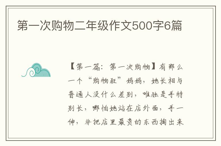 第一次购物二年级作文500字6篇