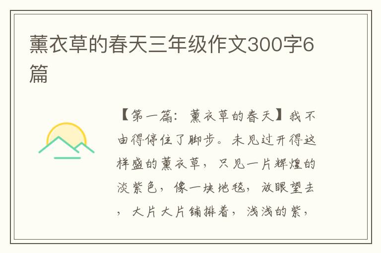 薰衣草的春天三年级作文300字6篇