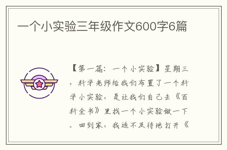 一个小实验三年级作文600字6篇