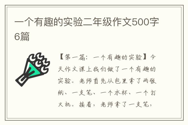 一个有趣的实验二年级作文500字6篇