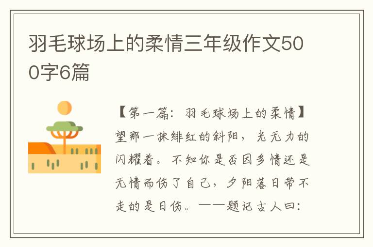 羽毛球场上的柔情三年级作文500字6篇