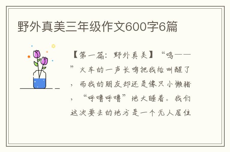 野外真美三年级作文600字6篇