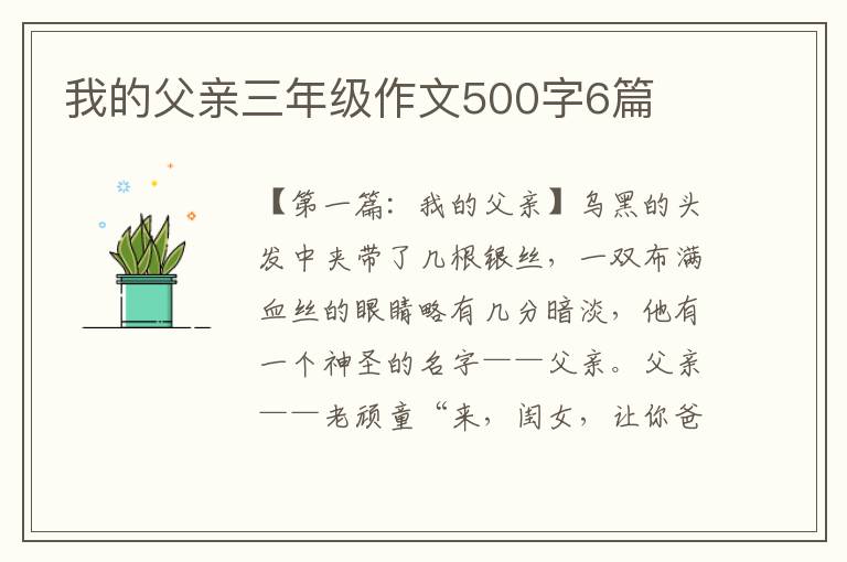 我的父亲三年级作文500字6篇