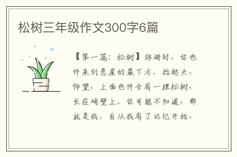 松树三年级作文300字6篇