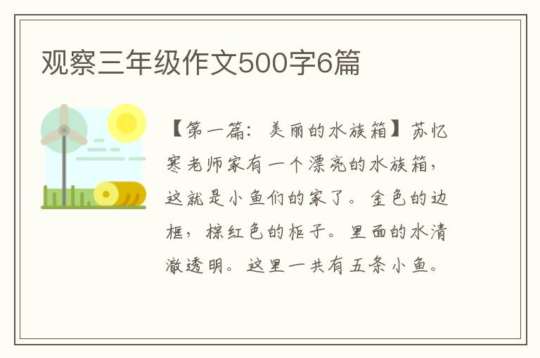 观察三年级作文500字6篇