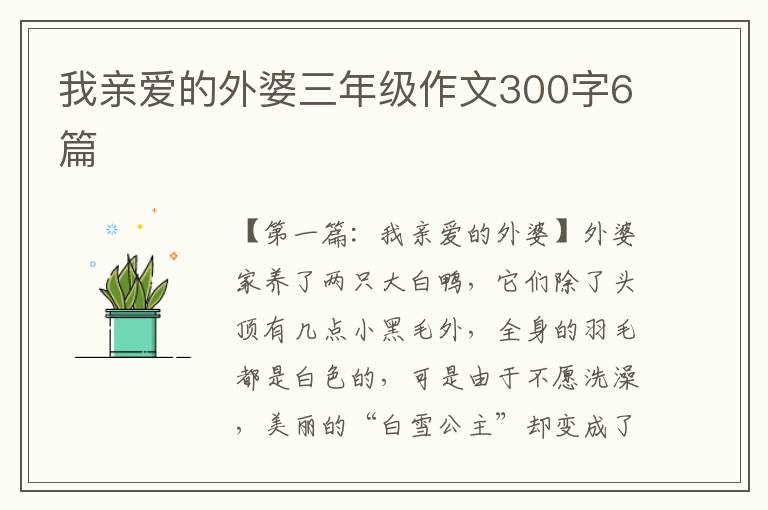 我亲爱的外婆三年级作文300字6篇