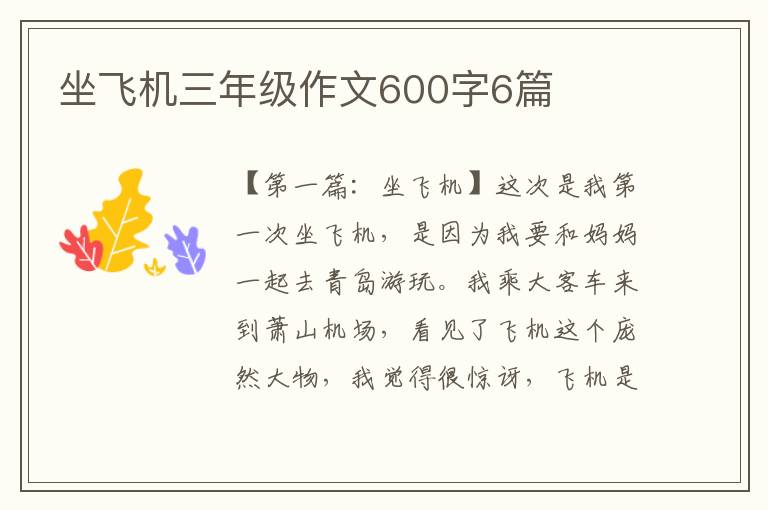 坐飞机三年级作文600字6篇