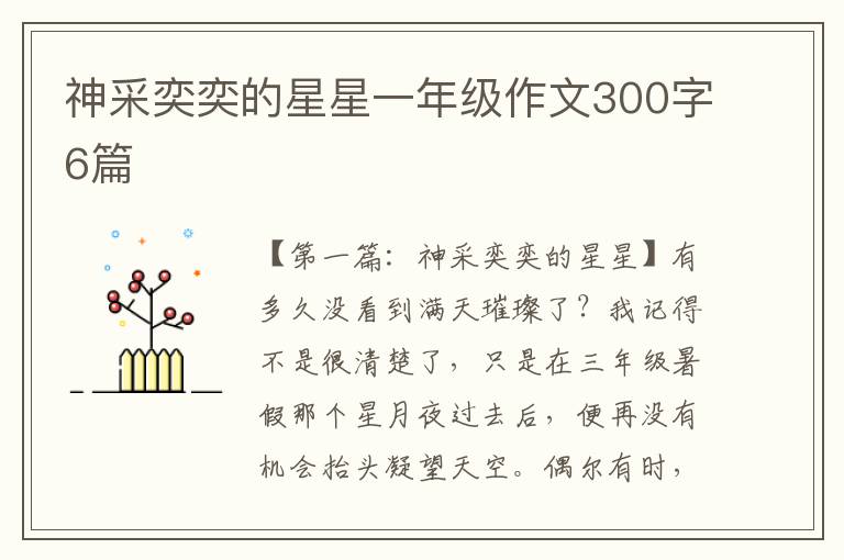 神采奕奕的星星一年级作文300字6篇