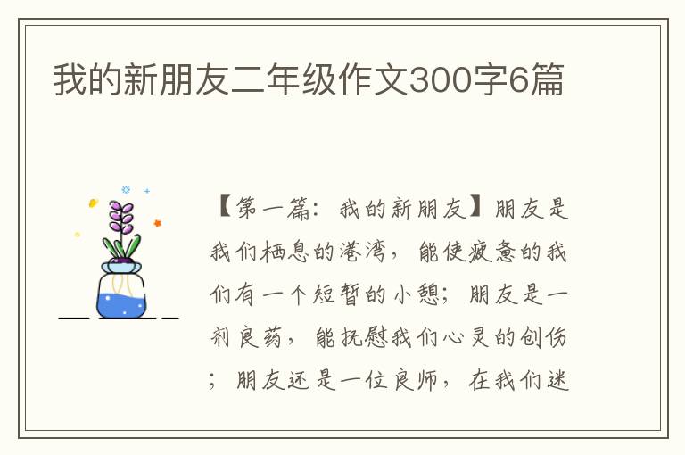 我的新朋友二年级作文300字6篇