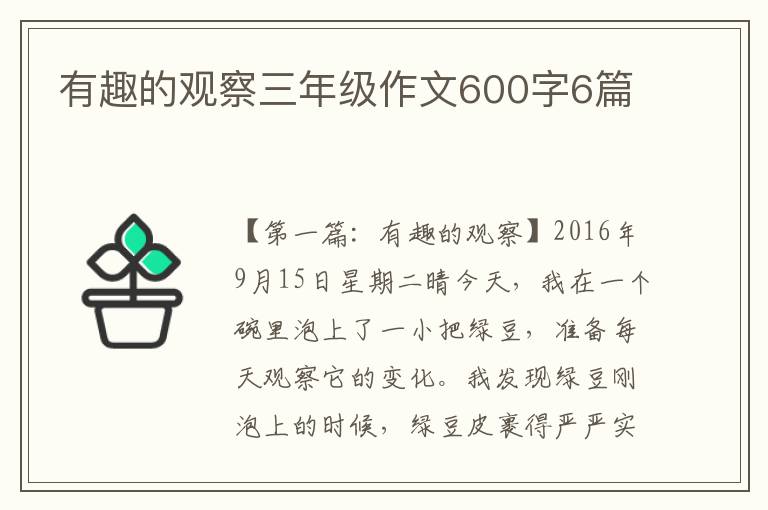 有趣的观察三年级作文600字6篇