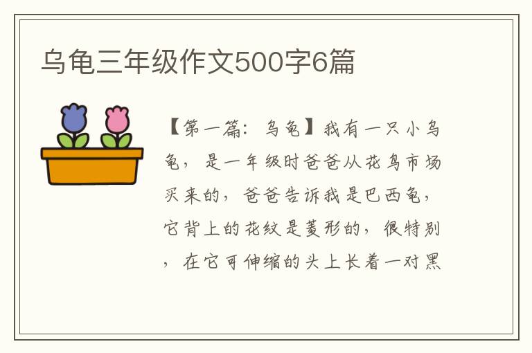 乌龟三年级作文500字6篇