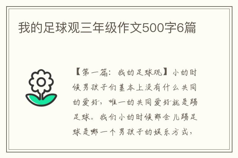 我的足球观三年级作文500字6篇