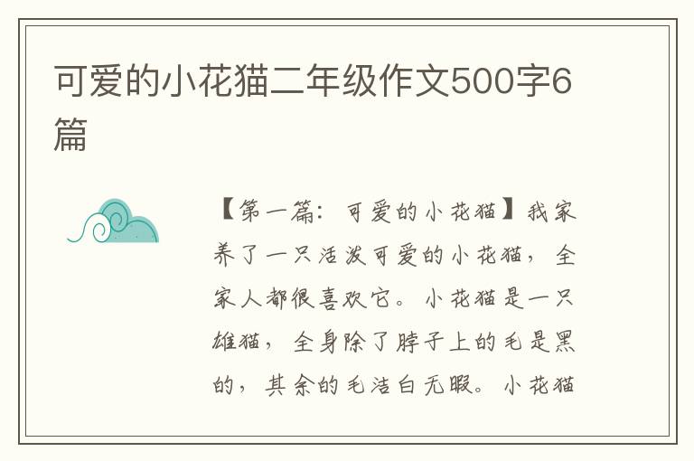 可爱的小花猫二年级作文500字6篇