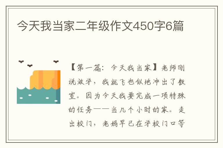 今天我当家二年级作文450字6篇