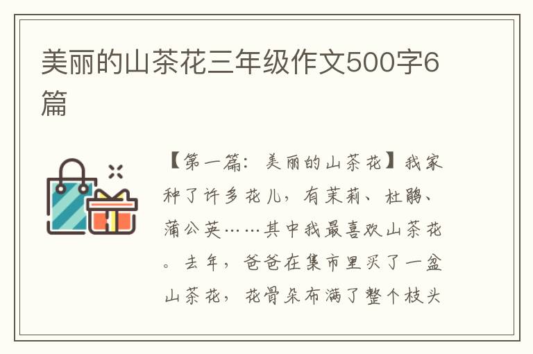 美丽的山茶花三年级作文500字6篇