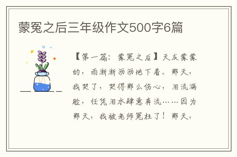 蒙冤之后三年级作文500字6篇