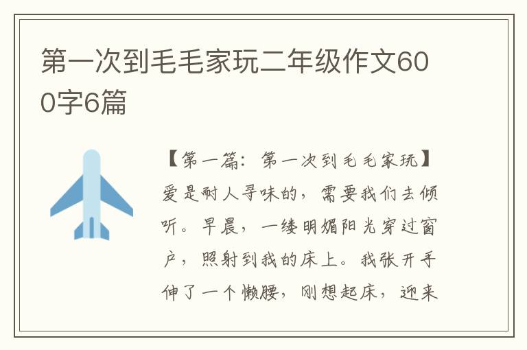 第一次到毛毛家玩二年级作文600字6篇