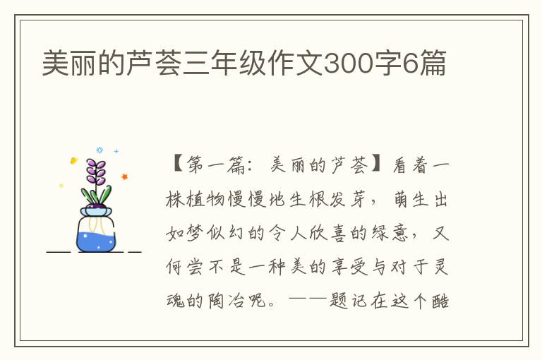 美丽的芦荟三年级作文300字6篇